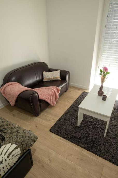 New Appartement Proche Gare Et Centre-Ville 科尔马 外观 照片