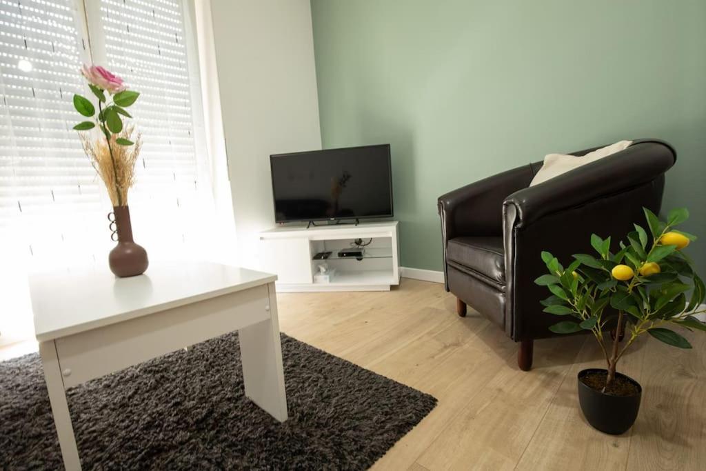 New Appartement Proche Gare Et Centre-Ville 科尔马 外观 照片