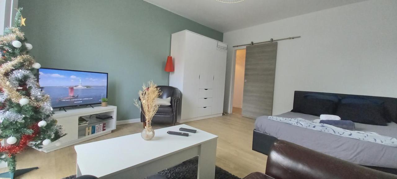 New Appartement Proche Gare Et Centre-Ville 科尔马 外观 照片
